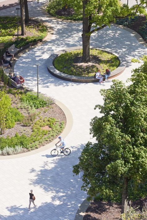 Gallery of Freedom Square / 501 architects - 15 Plaza Design, Novo Nordisk, Science Park, Urban Landscape Design, Viborg, Shenyang, Urban Park, Parking Design, Urban Setting