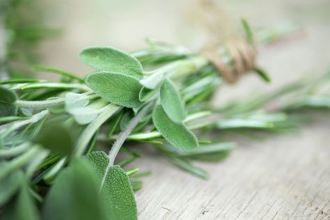 Sage Spice, Dry Sage, Drying Fresh Herbs, Sage Recipes, Sage Herb, Mediterranean Spices, Fresh Sage, How To Dry Sage, Ingredient Substitutions