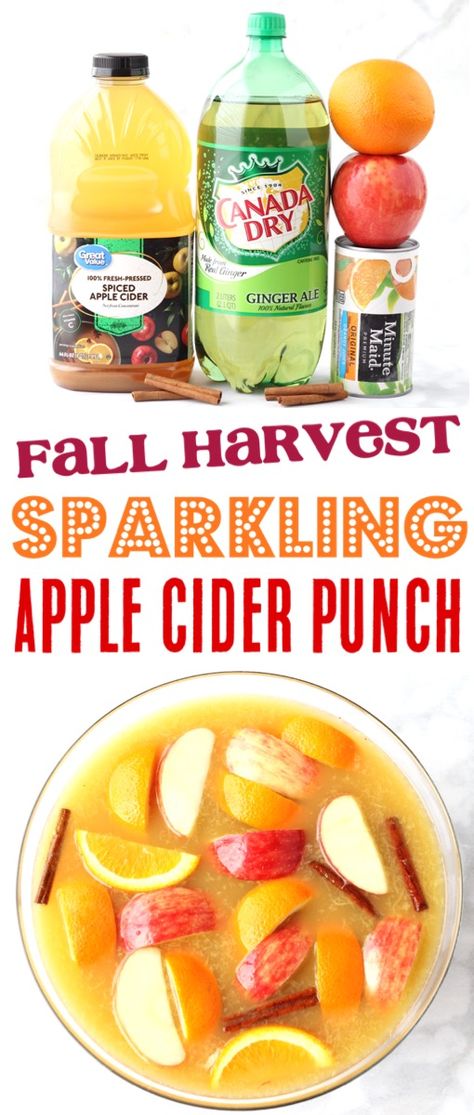 Sparkling Apple Cider Punch Recipe! {4 Ingredients} - The Frugal Girls Fall Harvest Sparkling Apple Cider Punch, Sparkling Fall Cocktails, Fall Wedding Punch Recipes, Sparkling Cider Non Alcoholic, Fall Wedding Punch Recipes Non Alcoholic, Sparkling Apple Cider Non Alcoholic, Fall Party Punch Non Alcoholic, Apple Cider Ideas, Fall Punch Recipes Non Alcoholic Easy