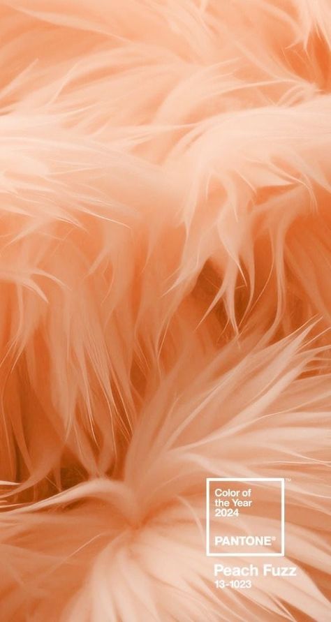 Pantone 2024, Color Of The Year 2024, Cmf Design, Beauty Hair Color, Peach Aesthetic, Color Vibe, Whatsapp Wallpaper, Peach Trees, Peach Fuzz