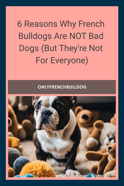 6 reasons why French Bulldogs are not bad dogs (but they're not for everyone), with a French Bulldog surrounded by toys in the foreground. French Dog Breeds, French Bulldog For Sale, Good Dogs, French Dogs, Hypoallergenic Dogs, Dogs Breeds, Eyes Problems, Bad Dog, Not Bad