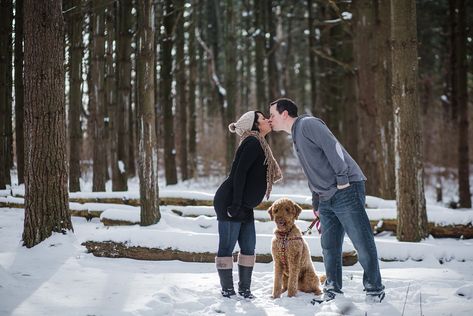 Shawntay and Justin went to Rock Cut State Park outside of Rockford IL for their candid photos for their first baby. The fresh snow made for beautiful winter maternity portraits. Here the mom and dad to be kiss with their dog between them. Winter Maternity Shoot, Baby Reveal Ideas, Couple Photography Winter, Winter Maternity Photos, Portrait Posing, Bump Pictures, Belly Bump, Maternity Picture, Maternity Photoshoot Poses