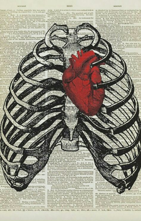 Heart Poster, Dictionary Art Print, Karakter Disney, Human Anatomy Art, Vintage Dictionary, Dictionary Art, Vintage Printable, Human Heart, Medical Illustration