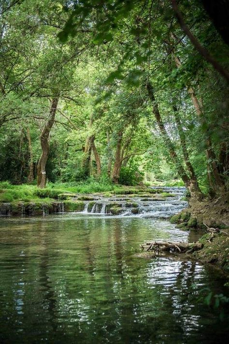 Landscape Edging Stone, 숲 사진, Taman Air, Matka Natura, Landscape Photography Tips, Image Nature, Landscape Edging, Landscape Paintings Acrylic, Landscape Photography Nature