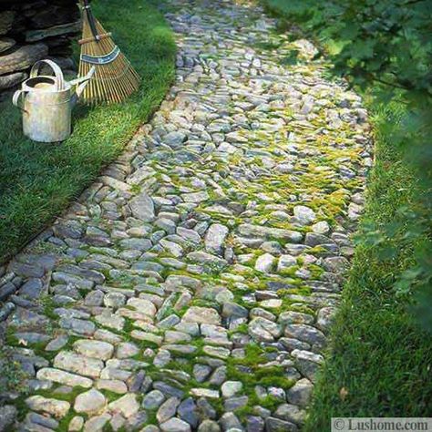 30 Stone Walkways and Garden Path Design Ideas Stone Extension, Stone Walkways, Cobblestone Path, Patio Stone, Stone Garden Paths, Cobble Stone, Backyard Walkway, Walkways Paths, Path Design