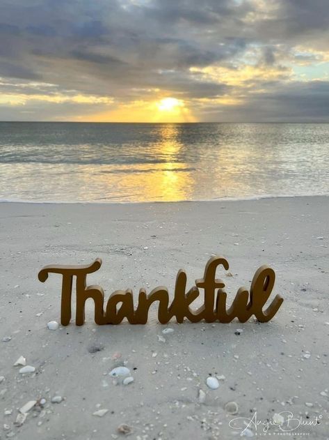 Coastal Thanksgiving, Coastal Autumn, Ocean Images, Thanksgiving Messages, Thanksgiving Pictures, Holiday Quotes, Give Thanks, Happy Thanksgiving, At The Beach