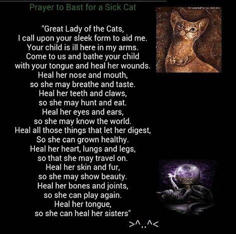 Pagan Life, Pet Healing, Bastet Goddess, Protection Sigils, Egyptian Cat Goddess, Kemetic Spirituality, Shadow Wolf, Cat Spirit, Witch Rituals