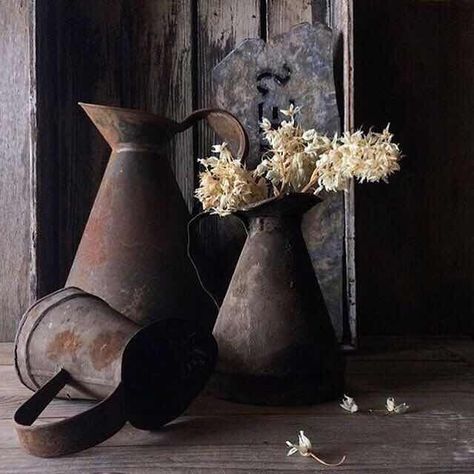 Rusty Rusty Decor, Calm Photography, Zen Flower, Still Life Pictures, Wabi Sabi Art, Still Life Flowers, Still Life Photos, Trendy Flowers, Deco Floral