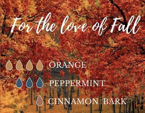 Young Living Essential Oil Diffuser, Fall Diffuser Blends, Aromatherapy Recipes, Essential Oil Diffuser Blends Recipes, Essential Oils Herbs, Oil Diffuser Recipes, Essential Oil Diffuser Recipes, Yl Essential Oils, Essential Oil Mixes