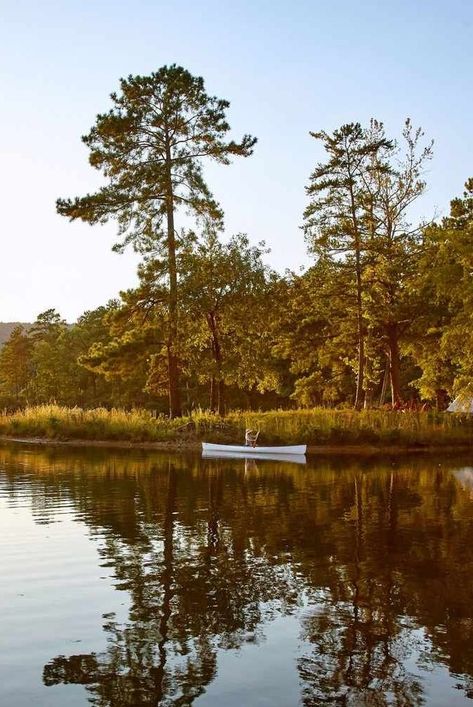 Billy Bibbit, Alabama Landscape, Alabama Aesthetic, Rural Alabama, Location Aesthetic, 2024 Intentions, Summer In The South, 50 States Travel, Southern Aesthetic