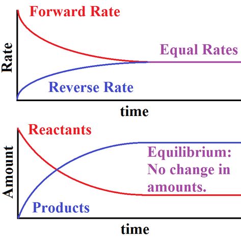 Chemical Equilibrium, Chemical reactions types, complete (irreversible) reactions & reversible reactions Chemical Equilibrium, Graph Worksheet, Hydrogen Gas, Chemical Equation, Chemical Reaction, Water Molecule, Acetic Acid, Chemical Reactions, The Invisible