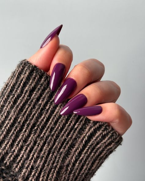 Lights Lacquer, Home for the Harvest 🧺 The purple we’ve been missing 😍💜 Figgy Delight, a plum purple polish with a creme finish • use code COLORNOOK to save on your purchase @lightslacquer • use code THECOLORNOOK to save on your purchase @nominal #lightslacquer #homefortheharvest #fallnails #fallnailcollection #nailpolishswatch #nailswatch #nailinspo #purplenails #fignails #auberginenails #figgydelight purple crème nail polish autumn fall Fall Plum Nails, Plum Fall Nails, Nails For Autumn, Lights Lacquer, Plum Nails, The Harvest, Plum Purple, Purple Nails, The Purple