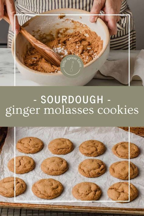 Sourdough Ginger Molasses Cookies, Sourdough Gingerbread Cookies, Sourdough Cookies Recipe, Sourdough Desserts, Dough Starter Recipe, Sourdough Cookies, Cowboy Cooking, Cookie Platters, Recipe Using Sourdough Starter