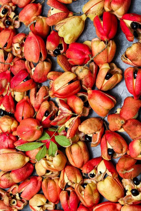 Jamaican Ackee Benefits Ackee Fruit, Yellow Yam, Pescatarian Diet, Jamaican Dishes, Caribbean Cuisine, Jamaican Recipes, A Fruit, Lower Cholesterol, Digestive Health