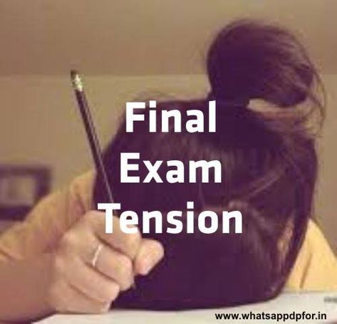 Exam Exam Tension, Final Exams, Google Search, Education