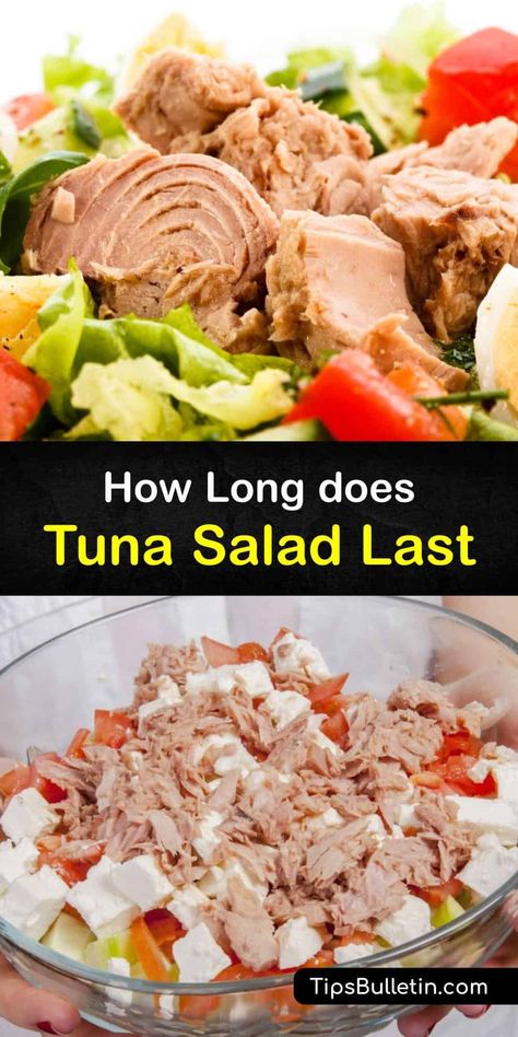 How long does tuna salad last in the fridge, and how long can tuna salad be left on the counter? It’s vital to refrigerate tuna fish and egg salad for food safety reasons, and we discuss ways to prepare and store this salad for short and long-term storage. #howto #tuna #salad #storage Canned Tuna Salad, Subway Tuna, Salad Storage, Freezing Food Storage, Salad Options, Can Tuna, Tuna Fish Salad, Tuna Macaroni Salad, Tuna Tartar