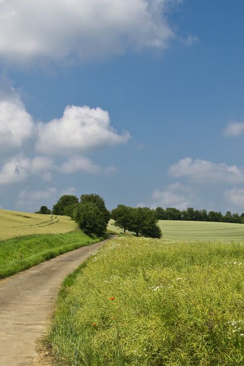 Landscape Field Photography, Field Photography Landscape, European Landscape Photography, Rural Landscape Photography, Grassland Landscape, Road Landscape, Green Grass Field, Field Photography, Grasses Landscaping