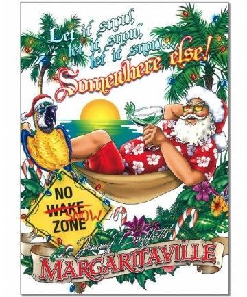 Best Margaritas, Frozen Drink, Jimmy Buffet, Tropical Holiday, Tropical Christmas, Jimmy Buffett, Holiday Coffee, Get The Party Started, Christmas Stuff