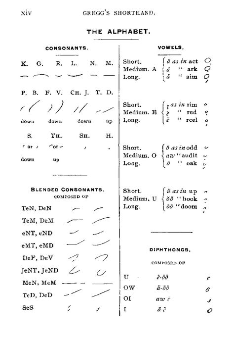 Short Hand Writing, How To Write Hiragana Alphabet, How To Learn Shorthand Writing, Gregg Shorthand Alphabet, Galifreyan Alphabet, Handwriting Strokes To Practice The Alphabet, Shorthand Alphabet, Gregg Shorthand, Shorthand Writing