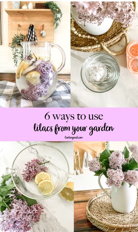 6 ways to use lilacs from lilac ice cream, syrups, lilac lemonade and more. Lilac Recipes, Lilac Lemonade, Accessorizing Tips, Inspirational Advice, Expensive Decor, Simmer Pot, Bath Soaks, Console Table Decorating, Farmhouse Inspiration