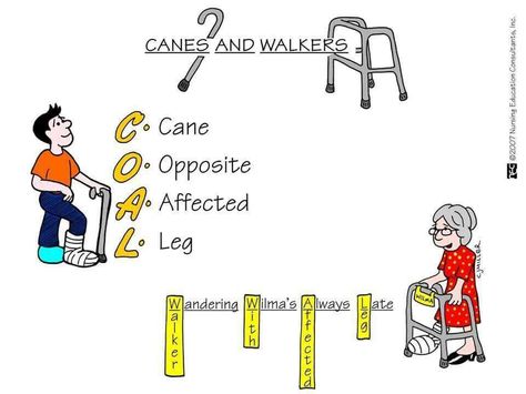 Canes and walkers Geriatric Nursing, Nursing Study Tips, Nursing Cheat, Nursing Board, Lpn Schools, Nursing Mnemonics, Medical Surgical Nursing, Nursing School Survival, Nursing School Graduation