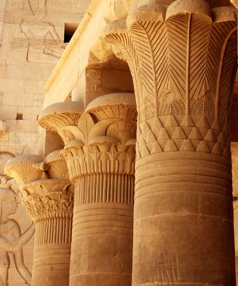 egypt ancient architecture | columns and capitals | giosmarta | Flickr Ancient Greece Architecture, Architecture Columns, Ancient Egypt Architecture, Ancient Egyptian Cities, Greece Architecture, Ancient Egyptian Architecture, Egypt Project, Le Corbusier Architecture, Egypt Ancient