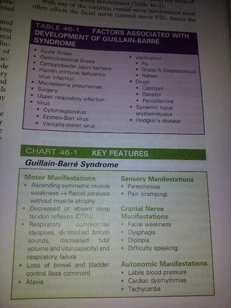 Guillain-Barre Syndrome- had this in my 20's...it was a struggle! Guillain Barre Syndrome Nursing, Gullian Barre Syndrome, Gillian Barre Syndrome, Gbs Syndrome, Nursing Neuro, Nbcot Exam, Guillain Barre, Guillain Barre Syndrome, Nursing School Essential