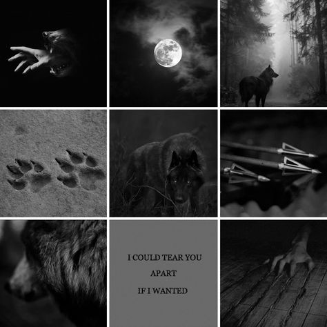 Big Bad Wolf, American Girl, characters, moodboard, aesthetic, my edits Big Bad Wolf Aesthetic, Black Wolf Aesthetic, Wolf Moodboard, Wolf Therian, Wolf Aesthetic, Big Wolf, Werewolf Aesthetic, Moodboard Aesthetic, Five Guys