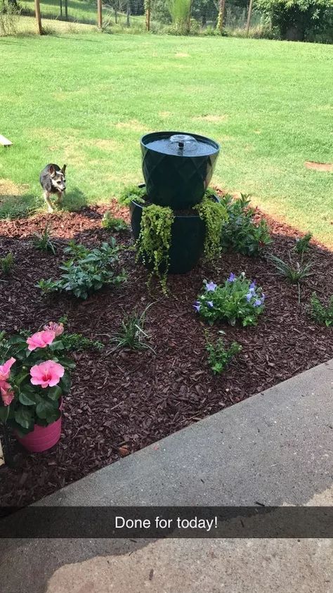 The inspiration for this project came from one of my favorite people, my Mom. She has her back porch set up perfected, a covered gazebo, beautiful green grass, an oasis of a garden with an included water feature surrounded by lush floral and evergreens. Shes even painted her concrete slab to look like over sized terracotta tiles... Creativity runs in my blood, I'm convinced.I have really been trying to create a back yard space that we want to be in. We have almost an acre fenced out ba… Planter Fountain, Creeping Jenny Plant, Covered Gazebo, Fountain Diy, Small Yellow Flowers, Diy Fountain, Creeping Jenny, Diy Flower Pots, Large Backyard