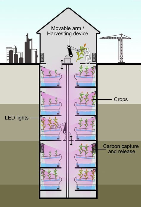 Abandoned Coal Mines Could Be Future of Farming Farming Technology, Coal Mining, Nottingham, Fantasy Landscape, Hydroponics, Engineering, England, Science, Technology