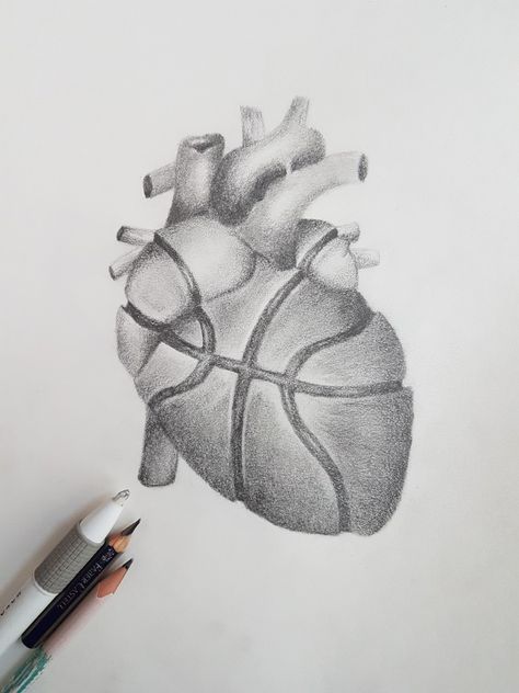 Basketball Aesthetic Drawing, Basketball Drawings Easy, Basketball Drawing Ideas, Drawings Of Basketball, Drawing Ideas Basketball, Basketball Art Draw, Basketball Drawings Sketches, Basketball Sketch, Drawing Basketball