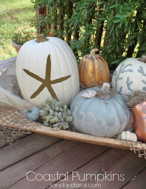 Coastal Fall Decor Ideas, Coastal Pumpkins, Coastal Fall Decor, Coastal Fall, Fall Beach, Coastal Holiday, Fall Decor Ideas, Diy Pumpkin, Photo Instagram