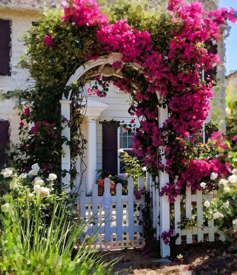 20 Best Climbing Plants For Pergolas And Arbors Bougainvillea On Fence, Bougainvillea Trellis Ideas, Vegetable Garden Trellis Ideas, Plants For Pergolas, Bougainvillea Arch, Climbing Bougainvillea, Trellis Ideas Garden, Outdoor Trellis Ideas, Bougainvillea Trellis