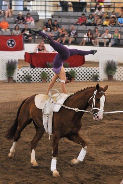 Equestrian Vaulting Rocks! Vaulting Horses, Vaulting Horse, Horse Riding Show Jumping, Equestrian Show Jumping, Equestrian Vaulting, Horse Riding Instructor, Vaulting Equestrian, Horse Vaulting, Working Equitation Obstacles