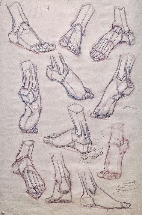 Feet Drawing, Structural Drawing, Human Anatomy Drawing, Human Figure Drawing, Human Anatomy Art, Human Drawing, Anatomy Sketches, Figure Sketching, 인물 드로잉