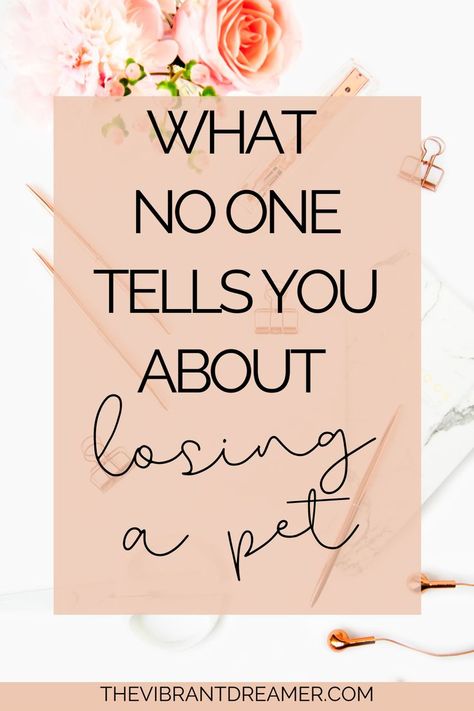 What no one will tell you about losing a pet. Comforting words about pet loss. #copingwithgrief #petloss Getting Another Dog After Losing One, How To Grieve A Pet, How To Cope With Loss Of Dog, How To Deal With Pet Loss, Losing Pets Quotes Cat, Comforting Words, Get Off Work, Bad Cats, Blog Topics