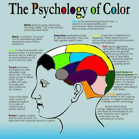 Color Psychology Personality, Color Therapy Healing, Color Theory Art, Psychology Notes, Colour Effect, Colour Psychology, Spiritual Psychology, Brain Facts, Energy Healing Spirituality