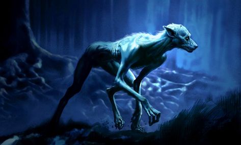 Werewolf | Harry Potter Wiki | Fandom powered by Wikia Remus Lupin Werewolf, Harry Potter Creatures, Werewolf Art, Prisoner Of Azkaban, Remus Lupin, White Wolf, Magical Creatures, Fantastic Beasts, Wizarding World