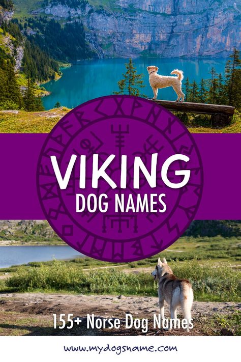 Viking Dog Names, Viking Girl Names, Female Viking Names, Male Dog Names Unique, Strong Dog Names, Unusual Dog Names, Puppy Names Unique, Tough Dog Names, Nordic Names