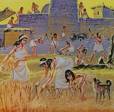 Neolithic farming community in the north of Persia around 6,000 BCE by Angus McBride Egyptian House, Angus Mcbride, Neolithic Revolution, Farming Community, Prehistoric Man, January 5th, Ancient Mesopotamia, History Painting, History Images