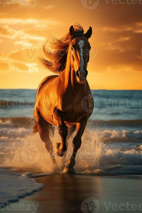 Dynamic image of a horse galloping across a sandy beach against a stunning sunset AI Generative Stunning Sunset, Horse Galloping, A Horse, Horse Racing, Royalty Free Stock Photos, Web Design, Horses, Quick Saves, Design