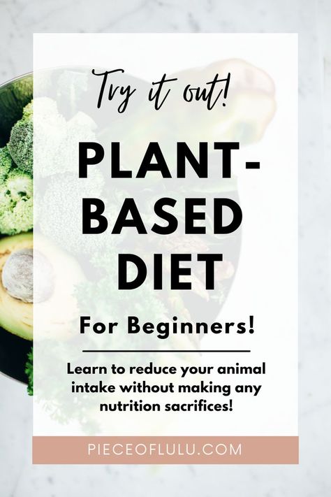 Learn all about what a plant based diet even is! #plantbased Plant Based Diet For Beginners, Diet For Beginners, Diets For Beginners, Plant Based Eating, Sheet Pan Recipes, Meatless Meals, Try Something New, Vegan Diet, Base Foods