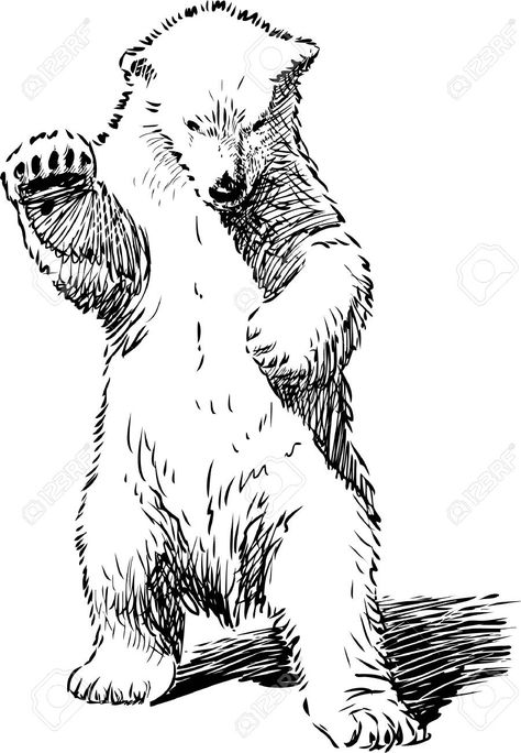 Polar Bear Tattoo, Polar Bear Drawing, Polar Bear Illustration, Bear Standing, Bear Sketch, Bear Tattoo Designs, Drawing Legs, Polar Bear Art, Bear Tattoos