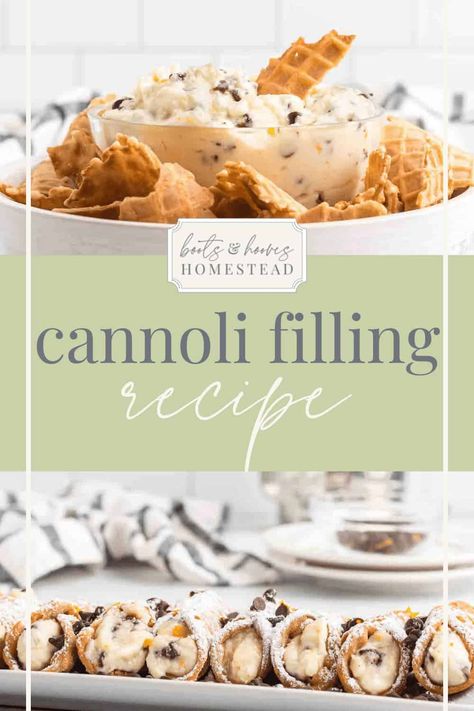 Cannoli Plating Ideas, Conoli Recipe Dip Easy, Marscapone Cannoli Filling, Conoli Recipe Filling, Conoli Recipe Dip, Florentine Cannoli, Canolli Cream Filling Recipes, Canolis Recipe Italian Filling, Conoli Recipe