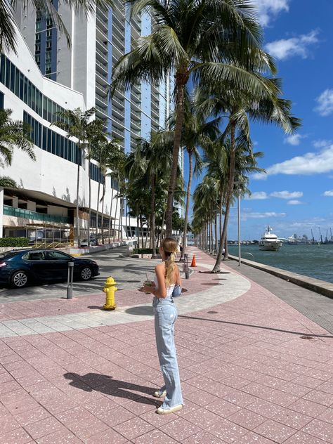 Miami Pictures Ideas, Miami Instagram Pictures, Miami Photo Ideas, Orlando Florida Aesthetic, Miami Beach Pictures, Miami Holiday, Miami Pictures, Miami Photos, Miami Girls