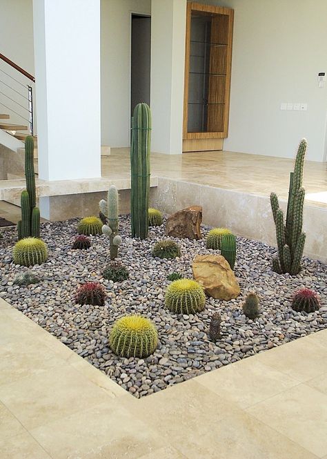 Cactus Flower Bed Front Yards, Jardin Cactus Exterior, Cactus Front Yard Landscaping, Small Cactus Garden Outdoor, Xeroscaping Backyard, Cactus Garden Outdoor, Succulent Front Yard Landscaping, Succulent Front Yard, Drought Tolerant Landscape Front Yard