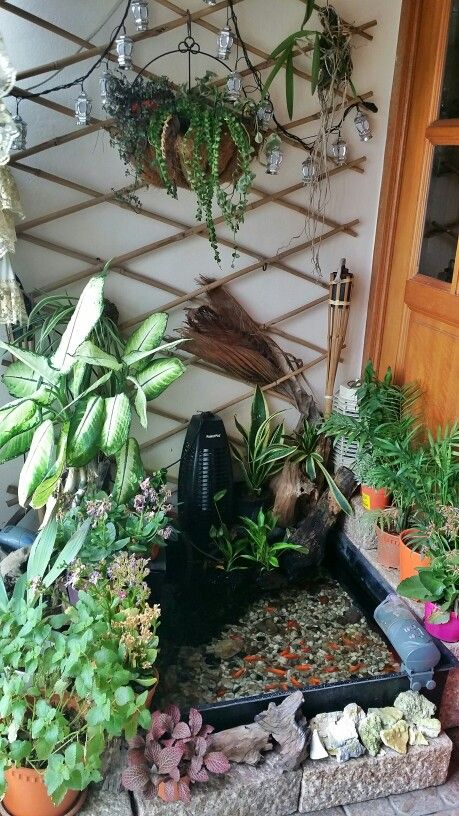 Indoor pond, small balcony, indoor plants Indoor Pond, Indoor Courtyard, Diy Balcony, Diy Garden Fountains, Apartment Decorating On A Budget, Small Backyard Gardens, Zen Decor, Apartment Balcony Decorating, Garden Fountains