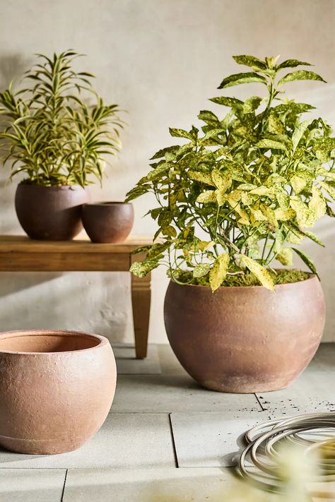 Terracotta Globe Planter | Terrain Stronger Faith, Globe Planter, Black Soil, Terracotta Planter, Outdoor Retreat, Easter Shopping, Garden Planters, Potted Plants, Color Coding