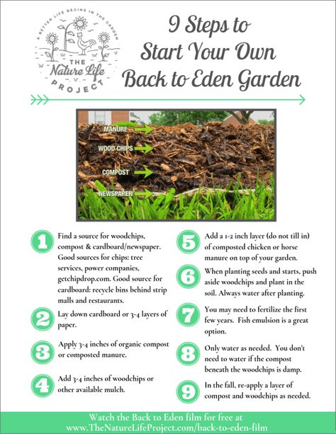 Grow Your Own Back to Eden Garden – The Nature Life Project Back To Eden Garden, Gardening Therapy, Back To Eden, Gardening Activities, Edible Landscape, Veggie Gardens, Eden Garden, Backyard Gardening, Gardening Techniques