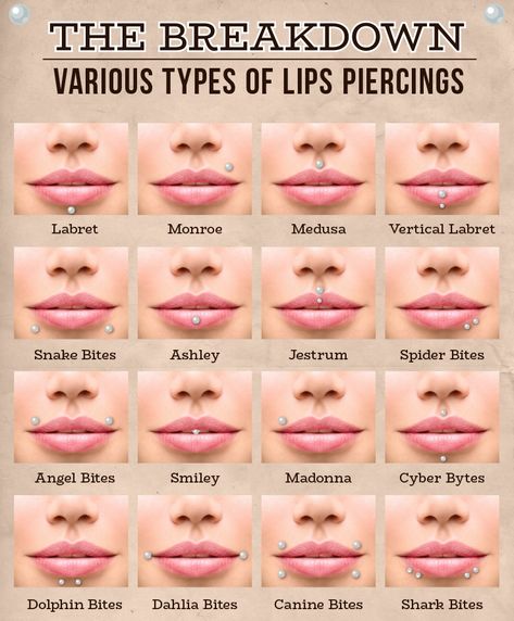 Lip Piercing Names, Piercing No Rosto, Different Lip Piercings, Medusa Piercings, Frenulum Piercing, Piercing Facial, Piercings Lip, Piercing Bouche, Ashley Piercing